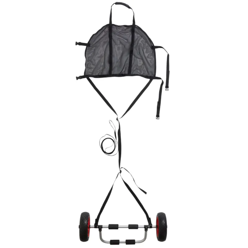 Airfun Paddleboard