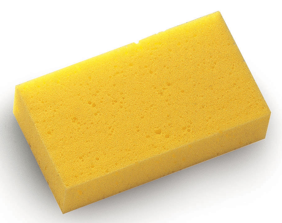 Håndsvamp