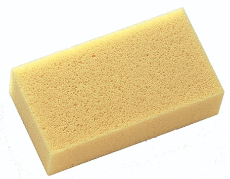 Håndsvamp